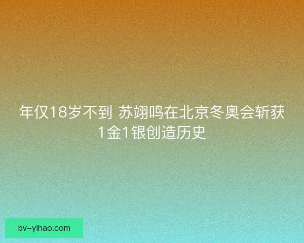 年仅18岁不到 苏翊鸣在北京冬奥会斩获1金1银创造历史